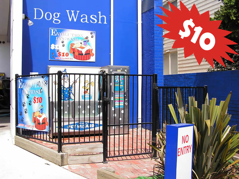 Dog Wash St Kilda